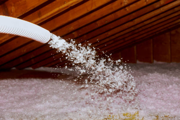 Best Insulation Maintenance and Repair in East Hazel Crest, IL